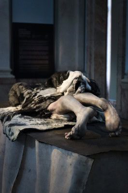 The Columbist: Berlin’s lifestyle magazine